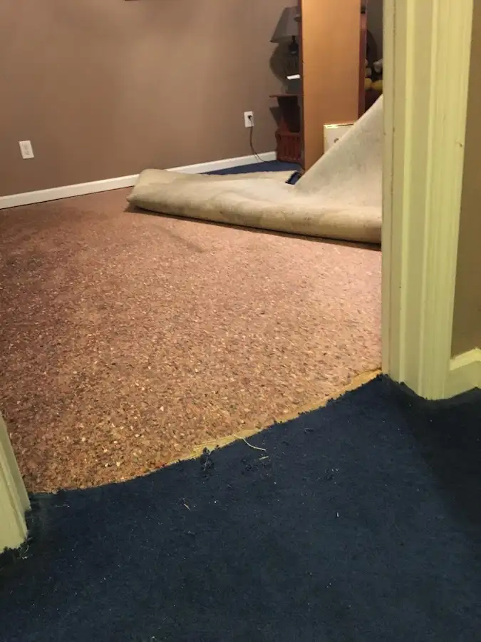 Carpet pad removal revealing water damage during Water Mitigation Services in Dingman