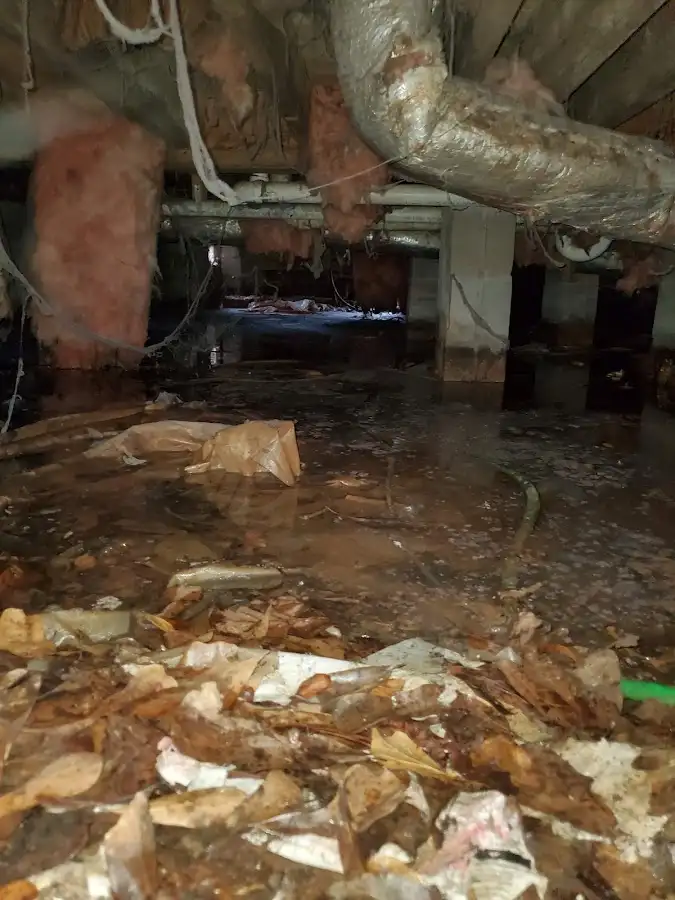 Crawl space flood assessment for Leak Detection & Repair in Dingman