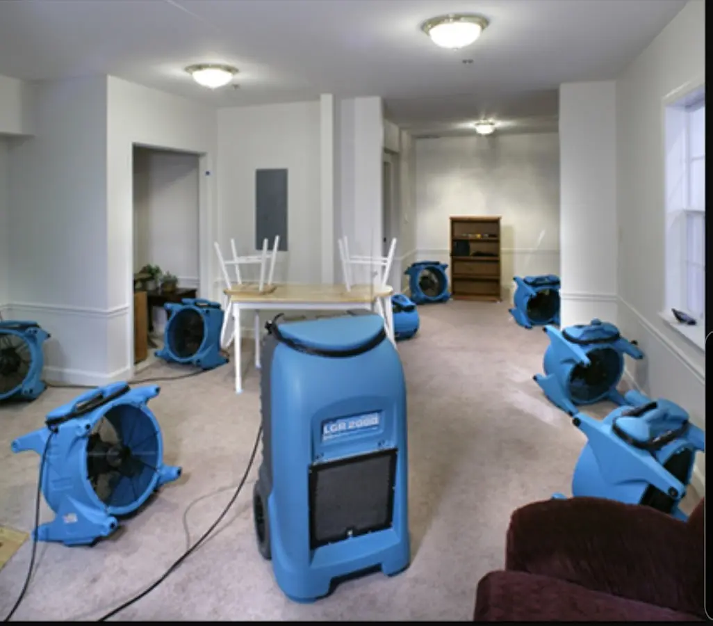Air movers and dehumidifier setup for Water Extraction & Removal in Dingman