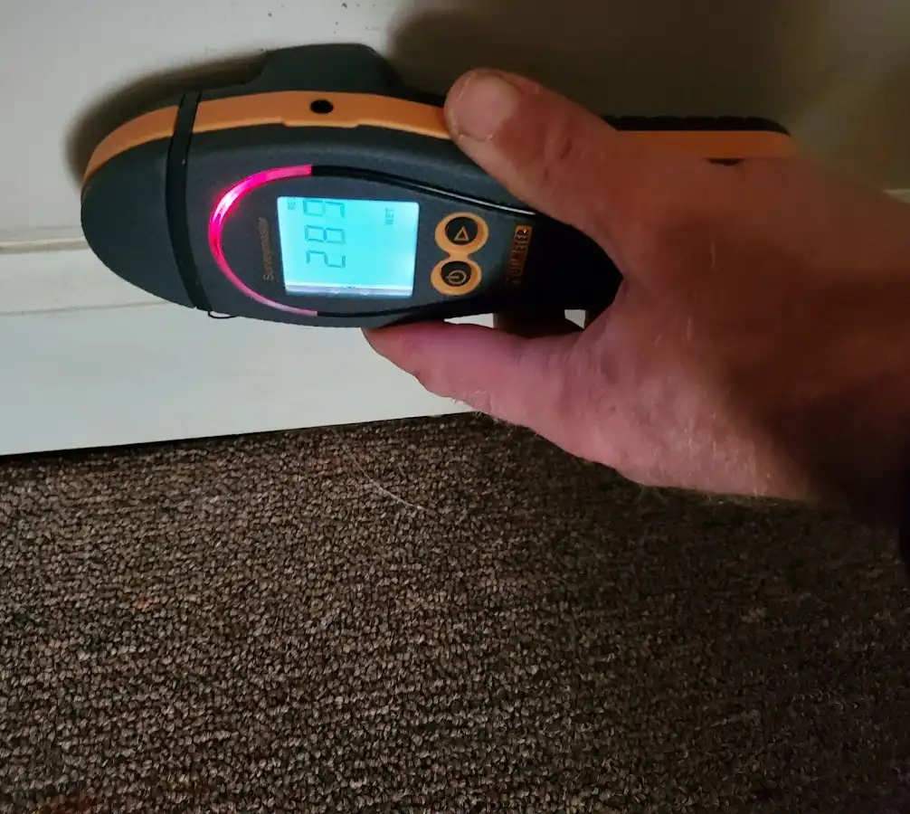 Moisture detection at baseboard during Burst Pipe Cleanup in Dingman